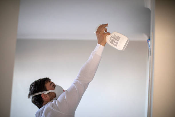 Best Certified Mold Removal  in Mount Healthy Heights, OH