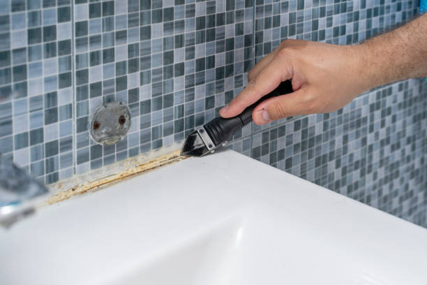 Best Mold Remediation  in Mount Healthy Heights, OH